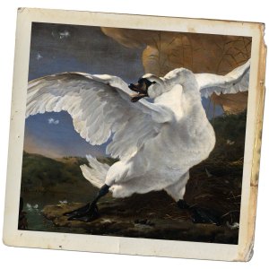 Jan_Asselijn_-_The_Threatened_Swan